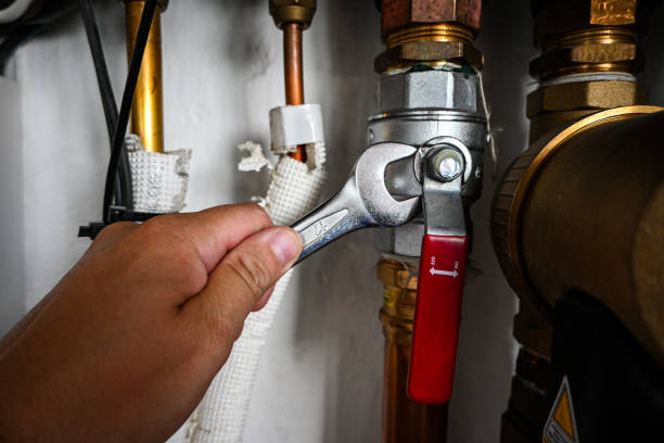 Best Clogged Drain Plumber  in Columbus, IN